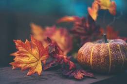 small pumpkin and orange leaves